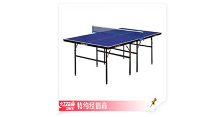 T3326 红双喜乒乓球台