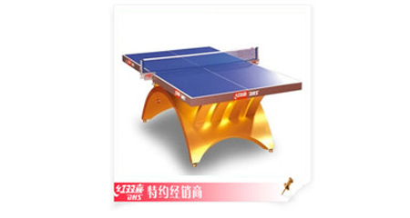 TCH-G-红双喜金彩虹乒乓球台比赛型